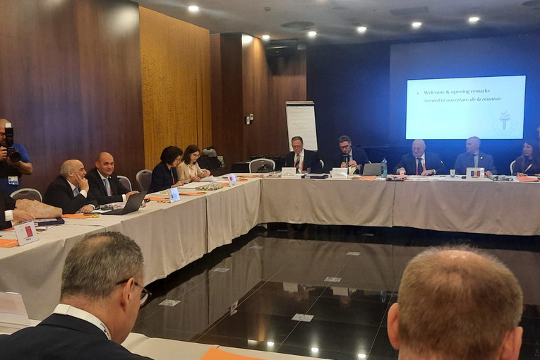 Assemblea dei Piccoli Stati: prossimi appuntamenti e nomine