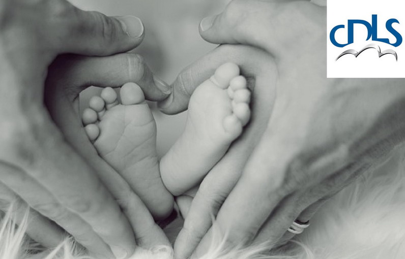 Denatalità, la CDLS lancia l’allarme: “Intervenire subito, è una questione di sopravvivenza”