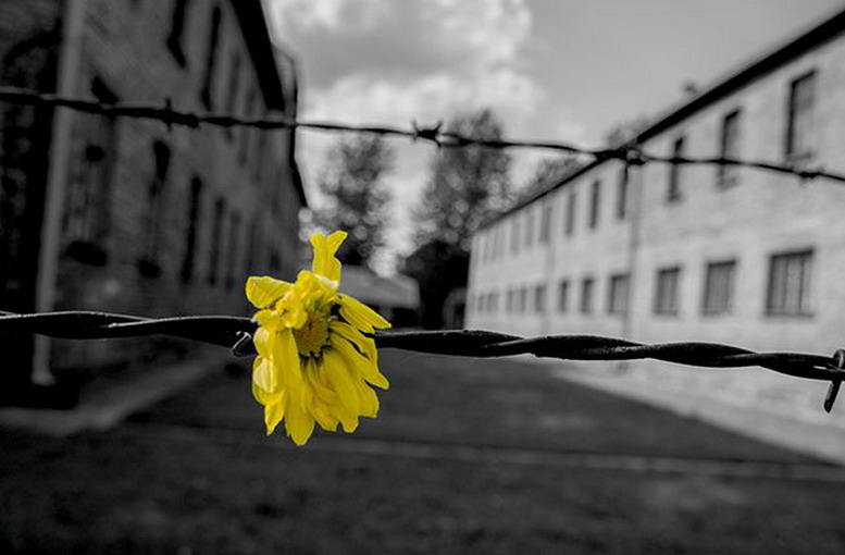 Considerate se questo è un uomo: la memoria come responsabilità presente